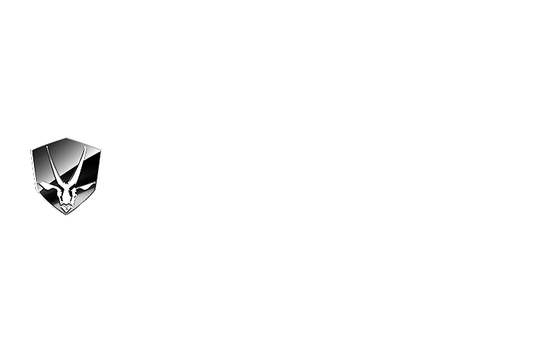 Baierkraft